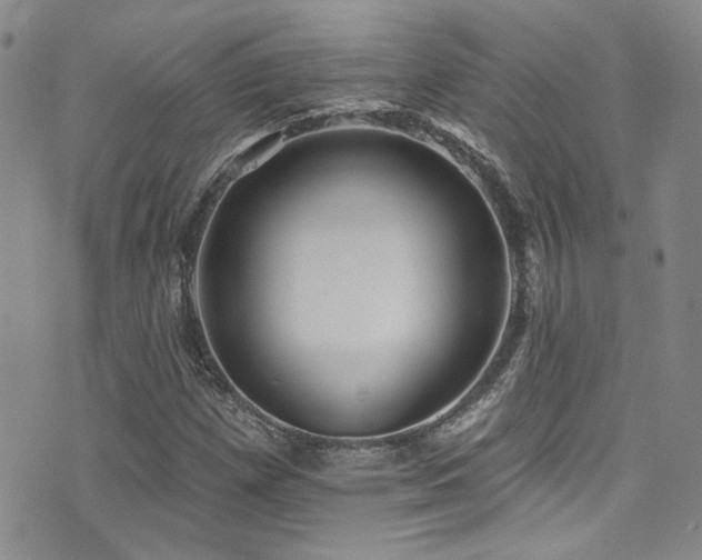 X0000076101257200609221214