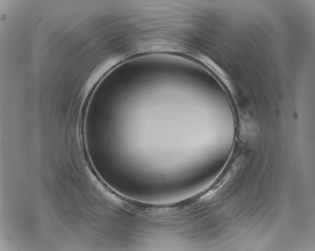 X0000076101293200609221213