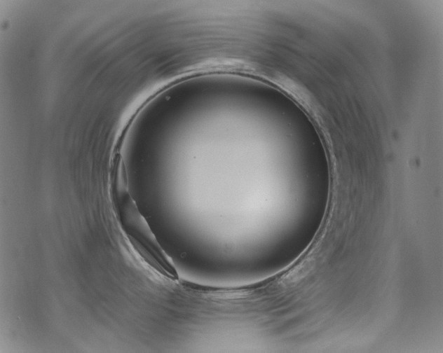 X0000076101296200609221213
