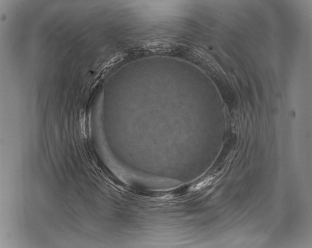X0000076101298200609221212