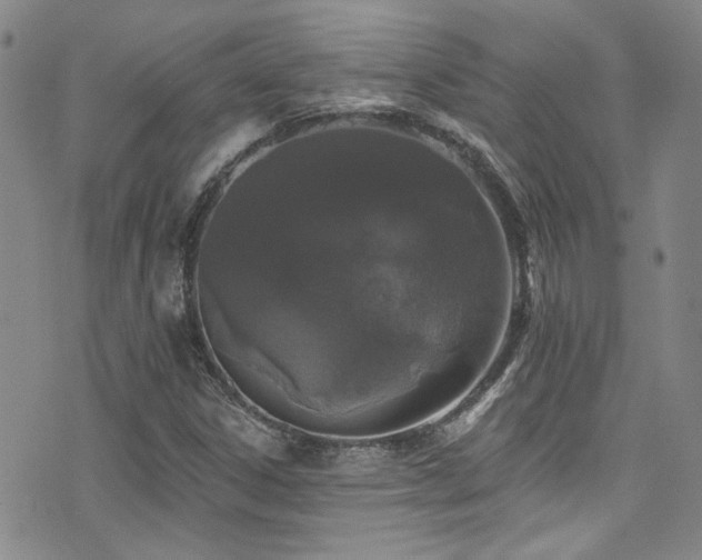 X0000076101306200609221212
