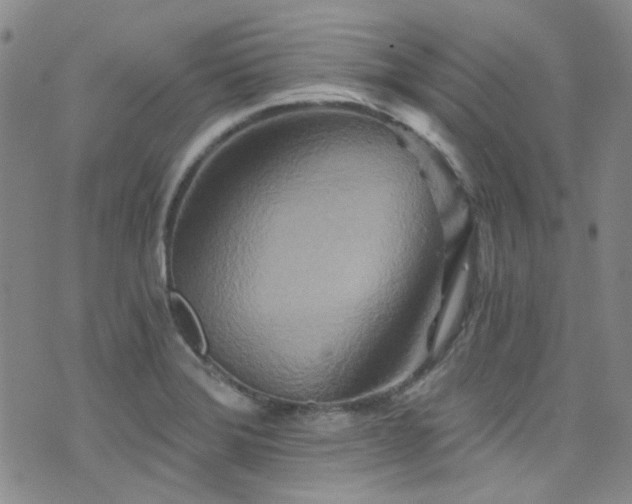 X0000076101372200609221212