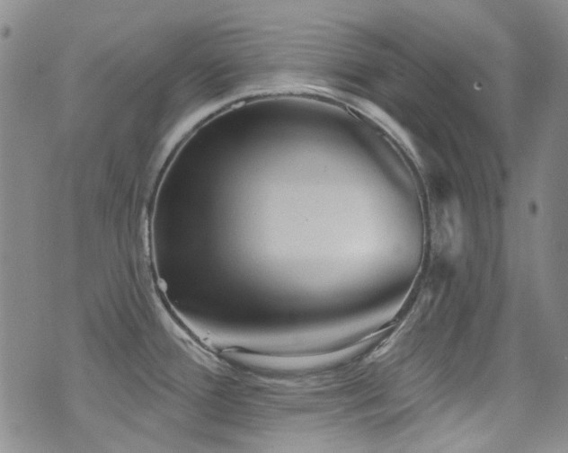 X0000076101388200609221211