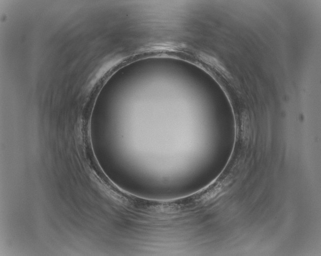 X0000076101404200609221211