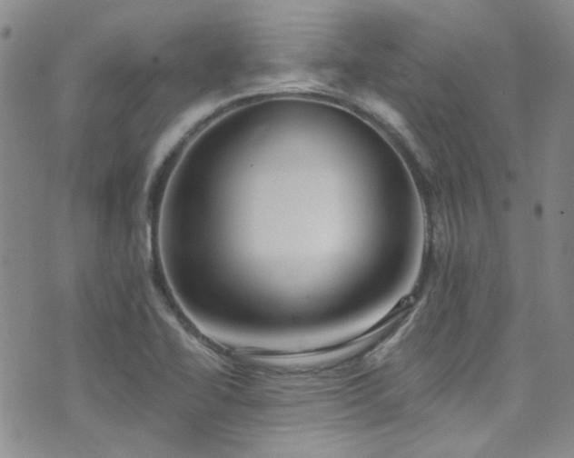 X0000076101414200609221211