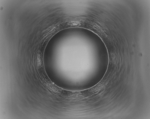 X0000076101442200609221211