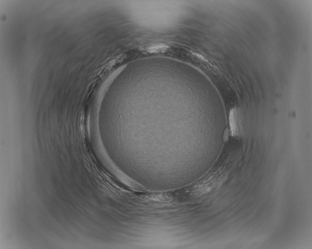 X0000076101443200609221211