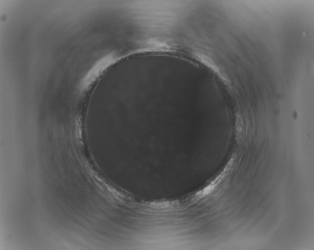 X0000076101455200609221210