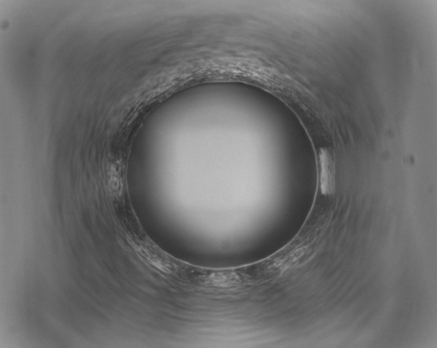 X0000076101491200609221209