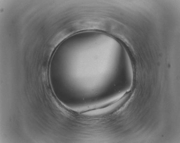 X0000076101513200609221209
