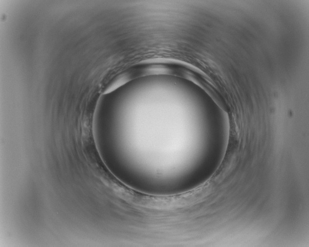 X0000076100037200609291302