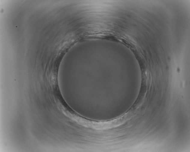 X0000076100039200609291302