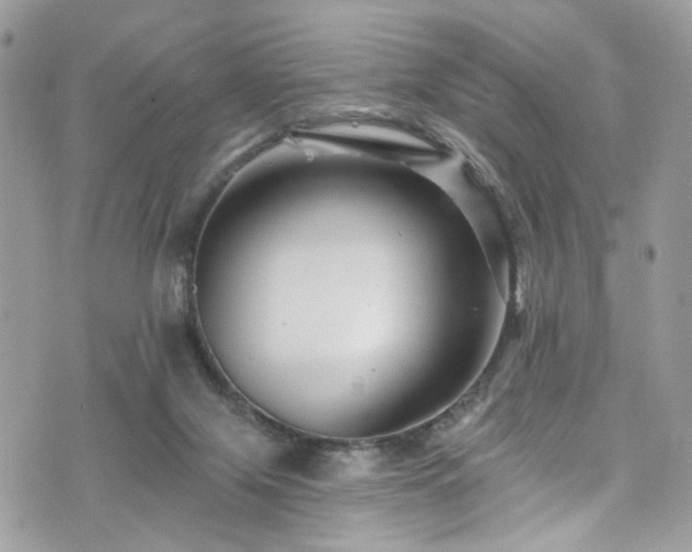 X0000076100071200609291302