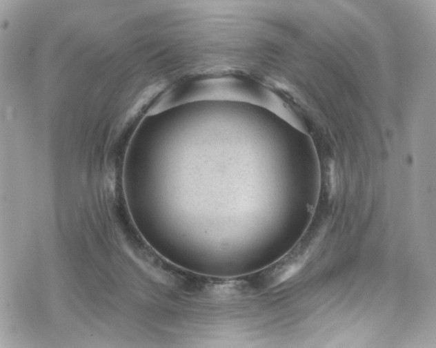 X0000076100072200609291302