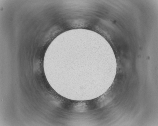 X0000076100162200609291300