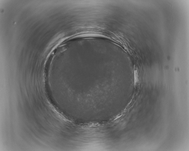 X0000076100243200609291258