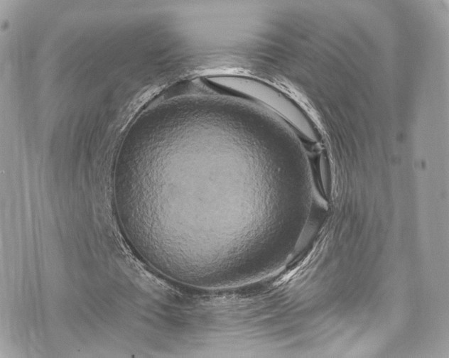 X0000076100385200609291257