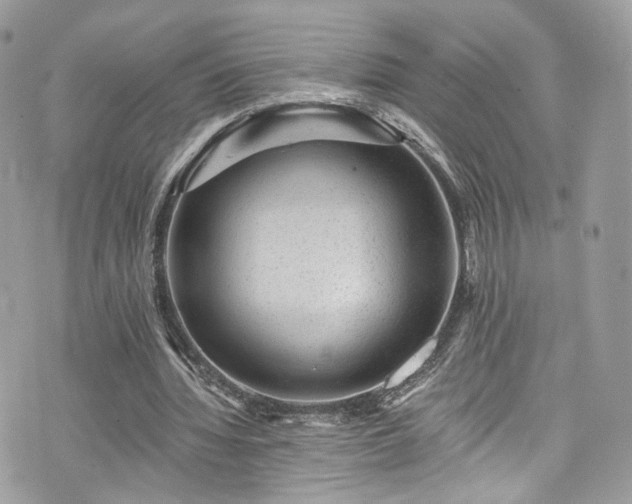 X0000076100436200609291255