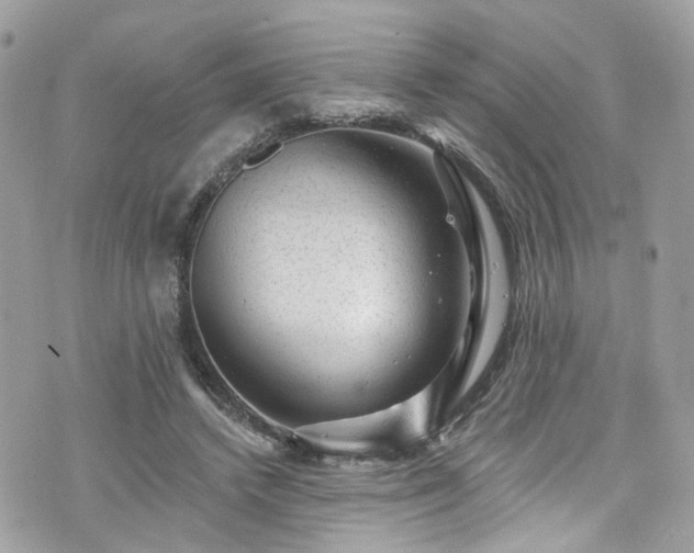 X0000076100448200609291255