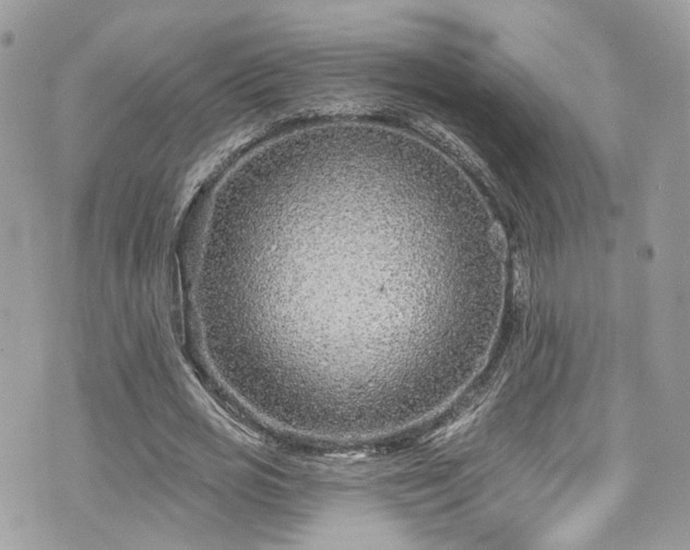 X0000076100725200609291251