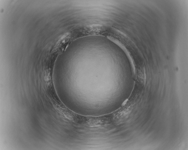 X0000076100818200609291249
