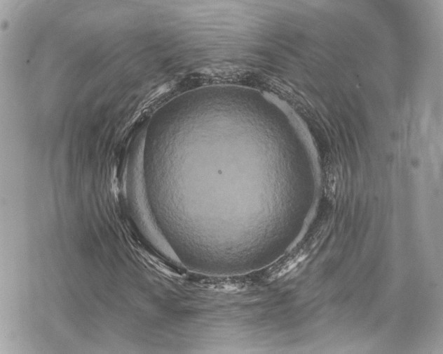 X0000076101010200609291246