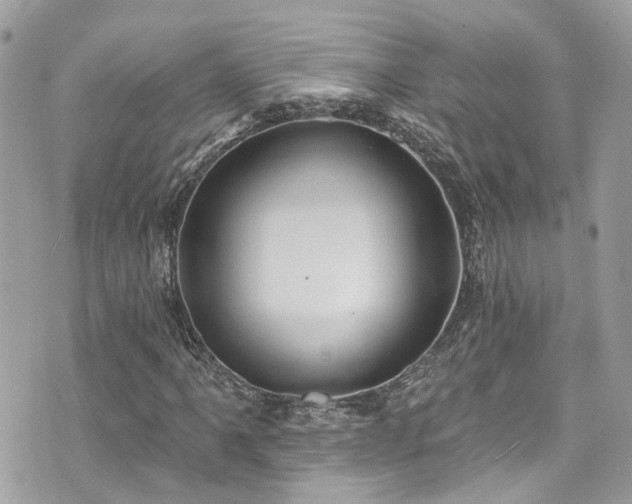 X0000076101061200609291246