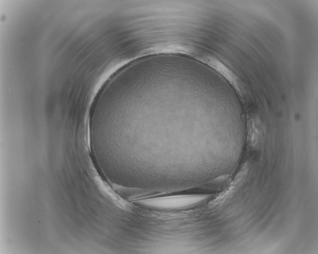 X0000076101132200609291245