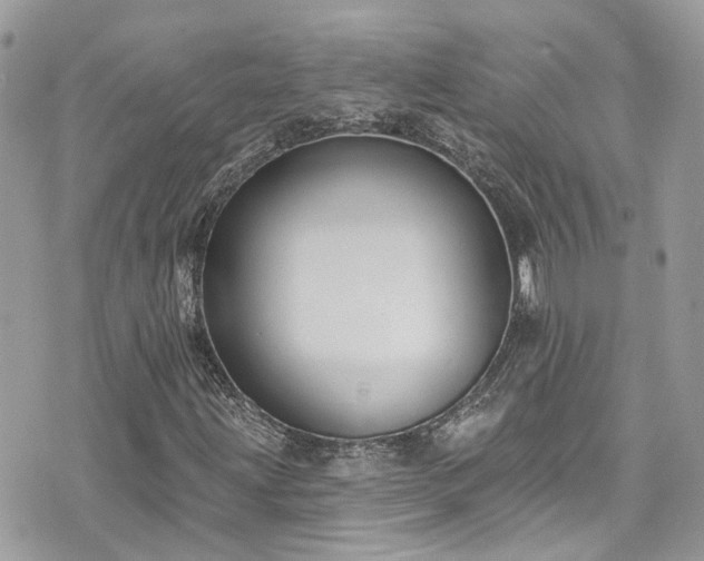 X0000076101203200609291243