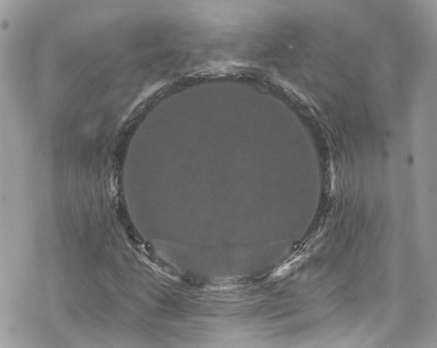 X0000076101206200609291243