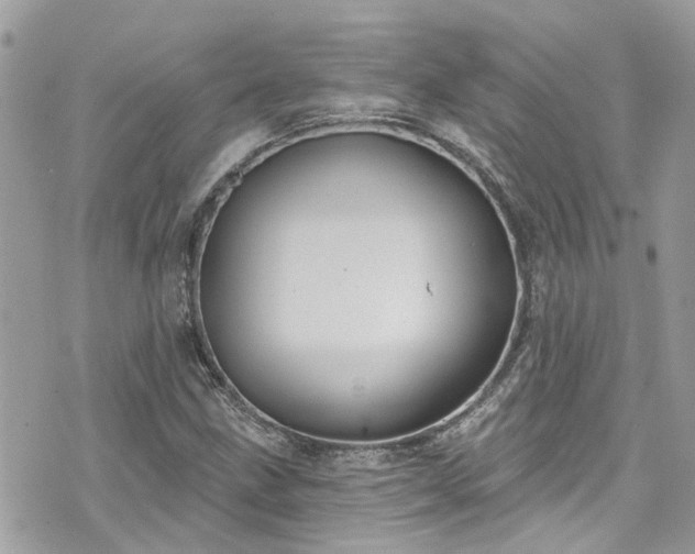 X0000076101211200609291243