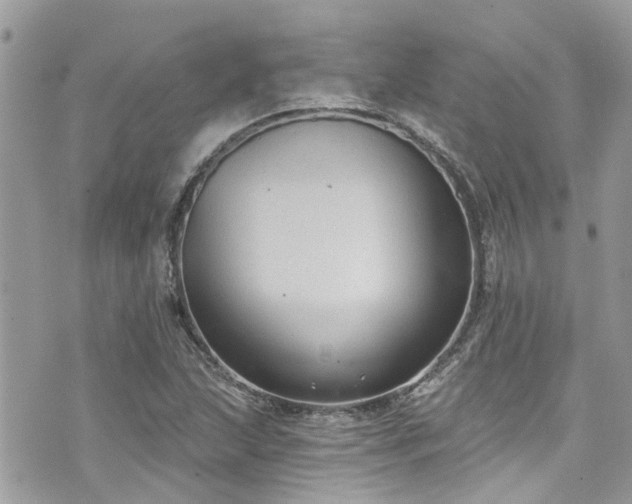 X0000076101215200609291243