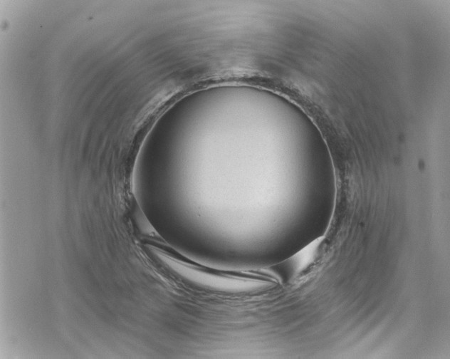 X0000076101217200609291243