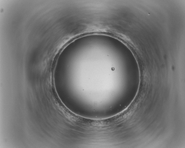 X0000076101220200609291243