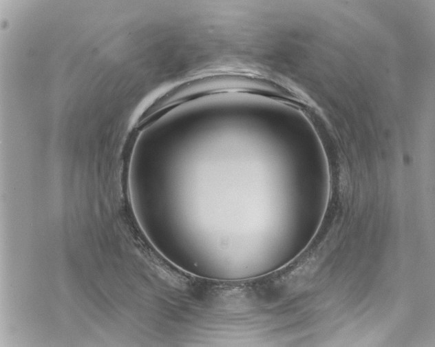 X0000076101222200609291243