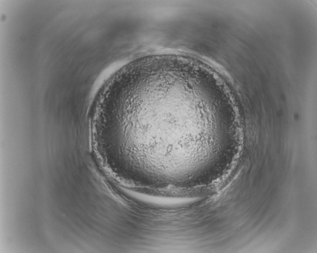 X0000076101223200609291243