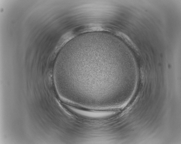 X0000076101225200609291243