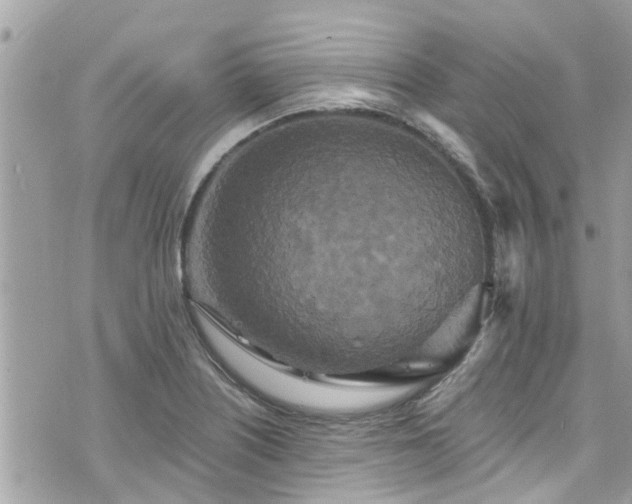 X0000076101226200609291243