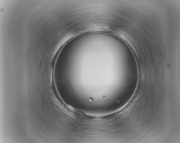 X0000076101227200609291243