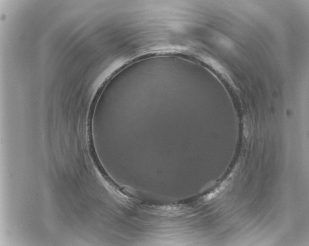 X0000076101229200609291243