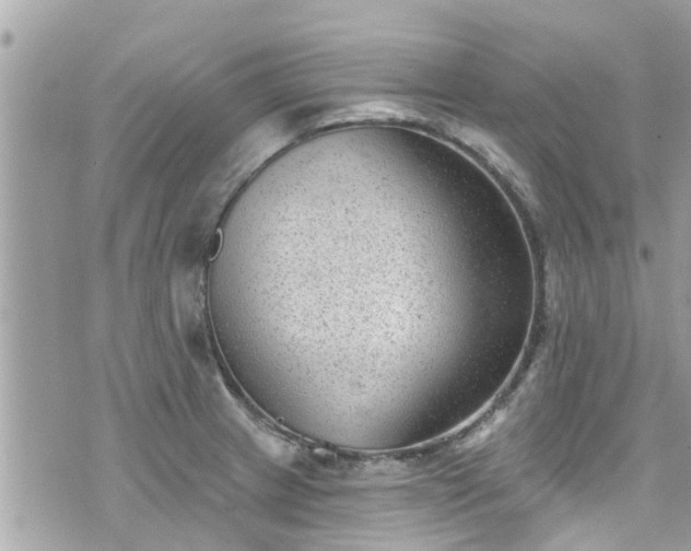 X0000076101233200609291243