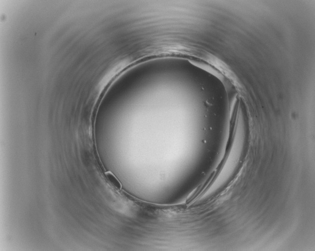 X0000076101234200609291243