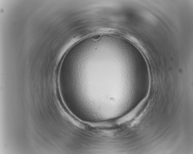 X0000076101235200609291243