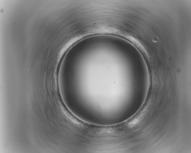 X0000076101238200609291243