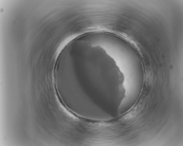 X0000076101239200609291243