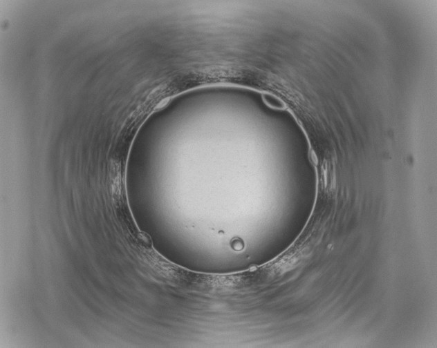 X0000076101251200609291243