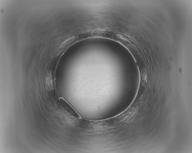 X0000076101252200609291243