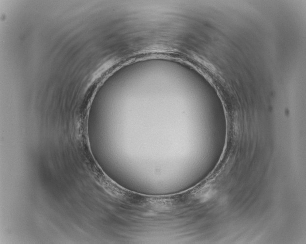 X0000076101258200609291243