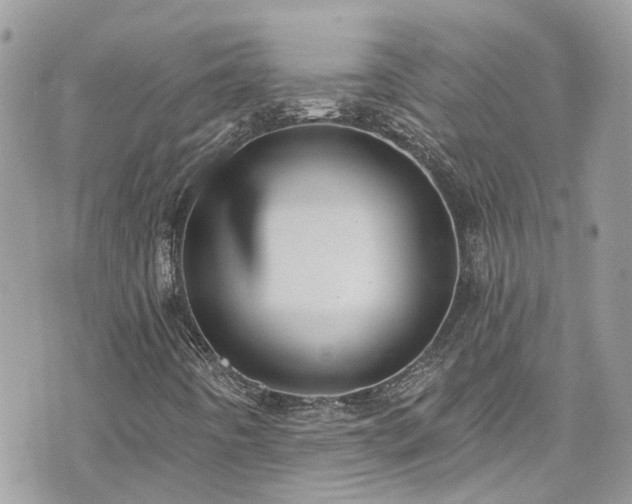 X0000076101442200609291240