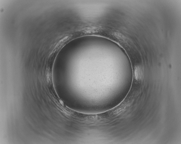 X0000076101444200609291240